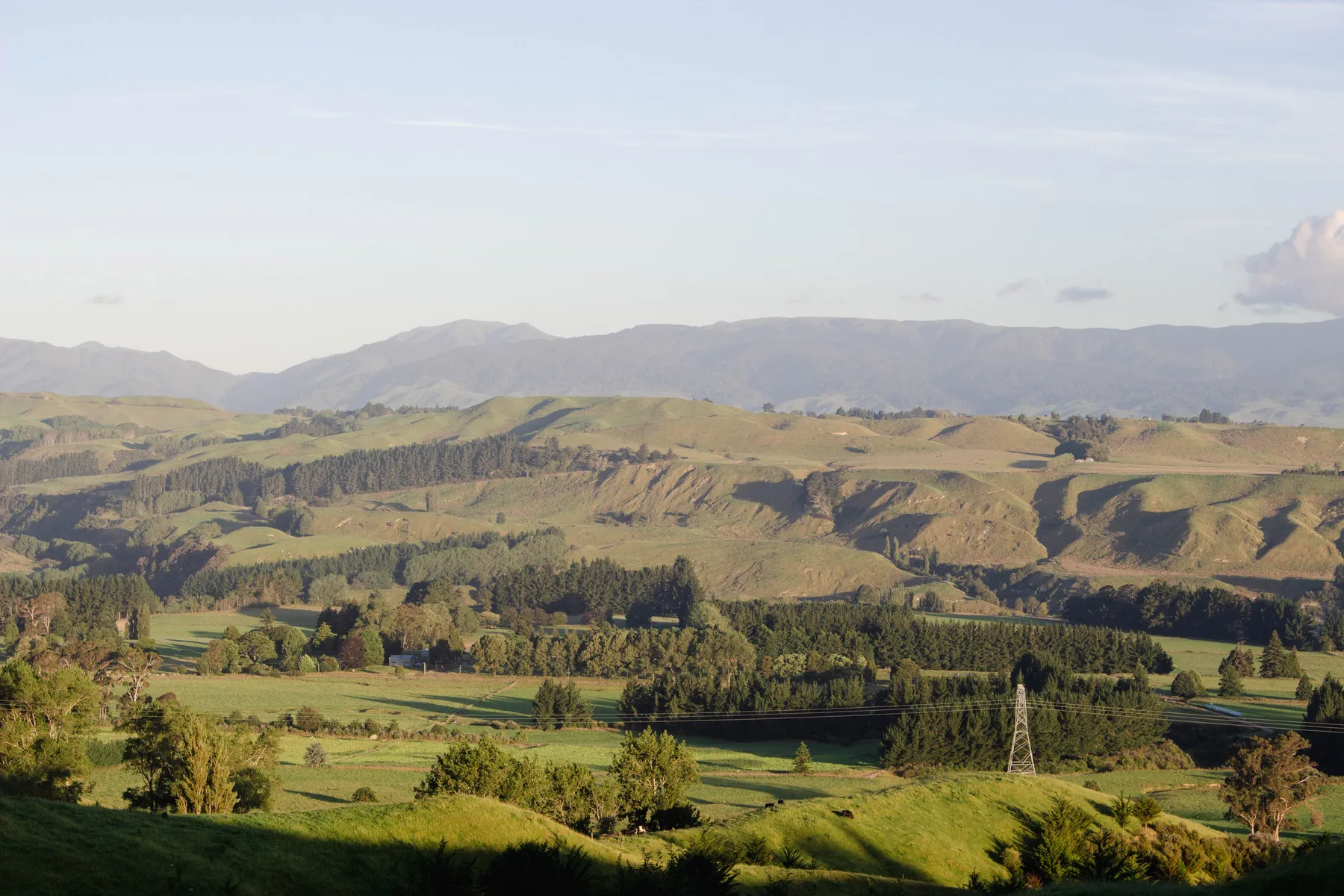 Manawatū hills