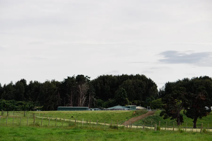 Local rural Manawatū scenery