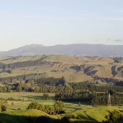 Manawatū hills