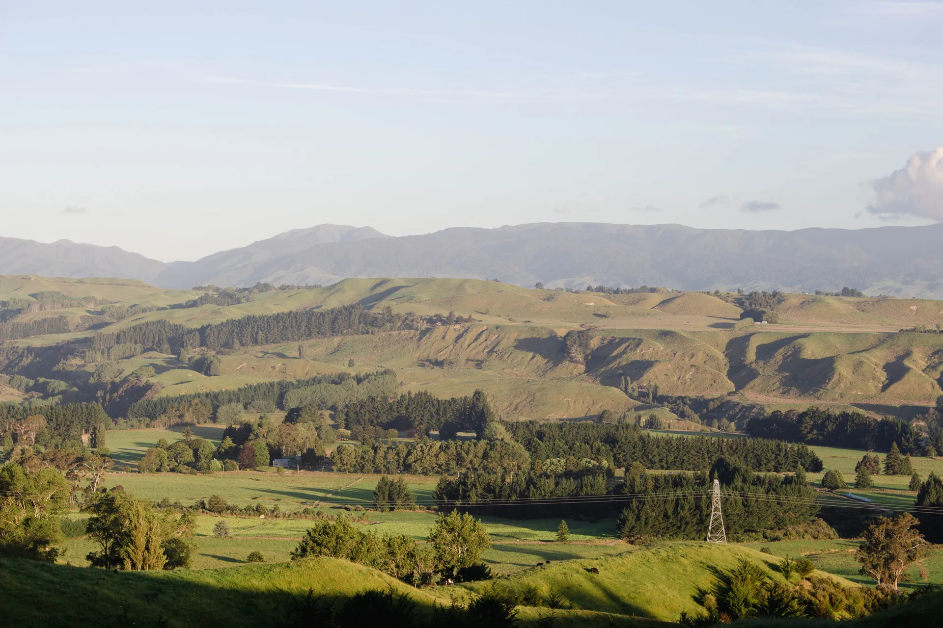 Manawatu Hills