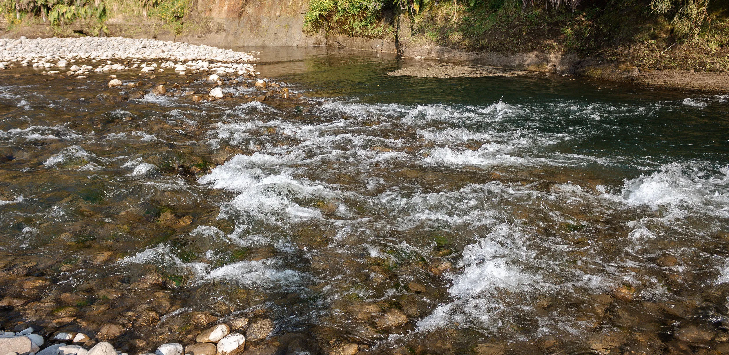 Manawatū river